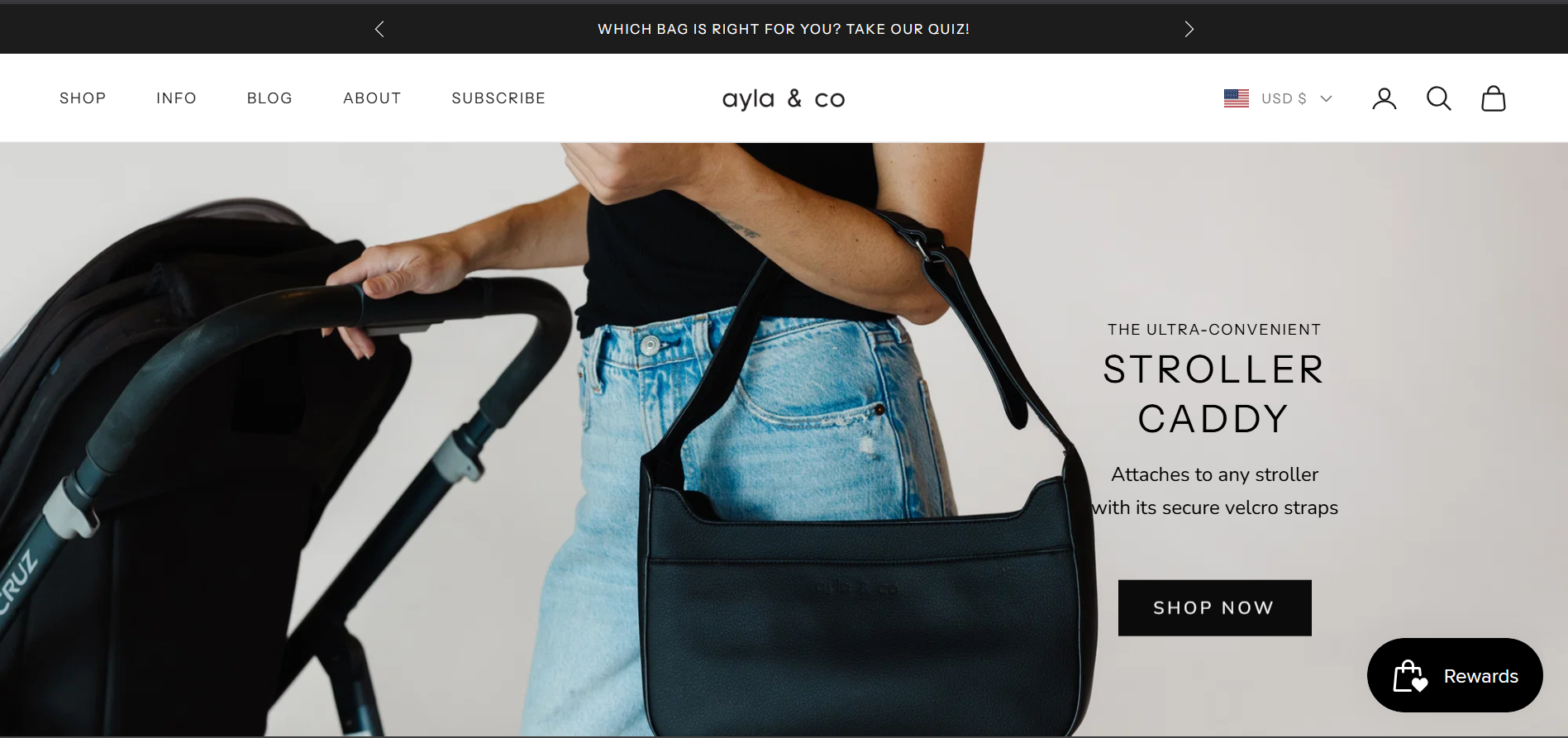 Ayla & Co Shopify store homepage preview