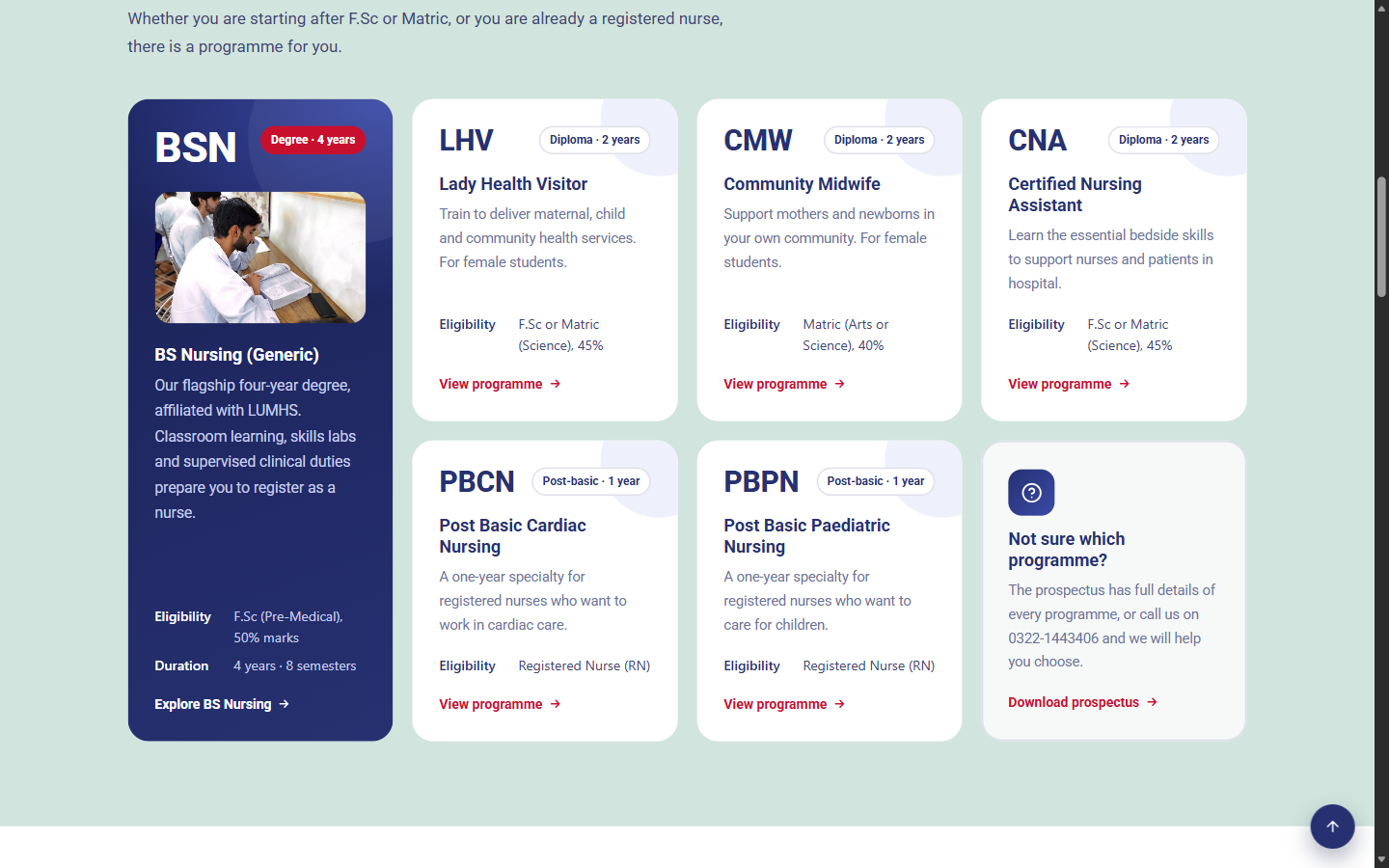 NINSS - Nightingale Institute of Nursing section preview
